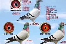 南宫28- 风云突变马赛赛前门线救险，世预赛版图或重绘，信心回归，资深球员宣示担当